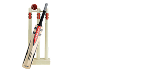 Logo Cricket Match